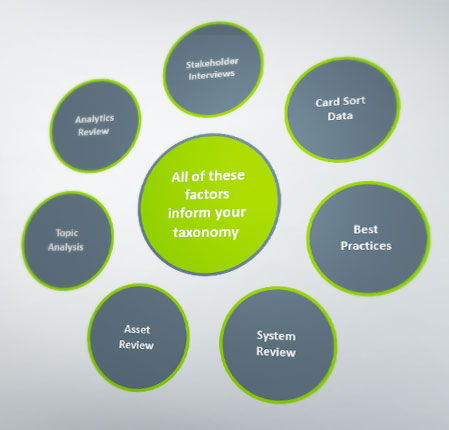 Bubble chart of factors that inform taxonomy