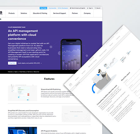 2 examples of completed CA Technologies webpages