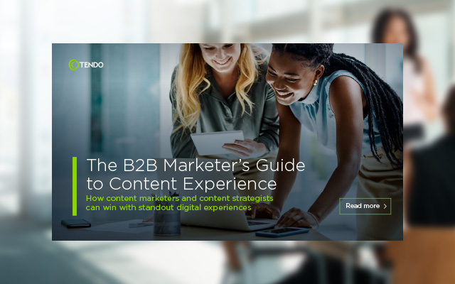 The B2B Marketer's Guide to Content Experience