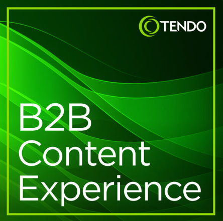 How to Level Up Your B2B Content in 2023 | Episode 3 | The B2B Content Experience Podcast